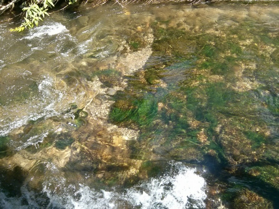 wpid-wp-1397397747199.jpeg